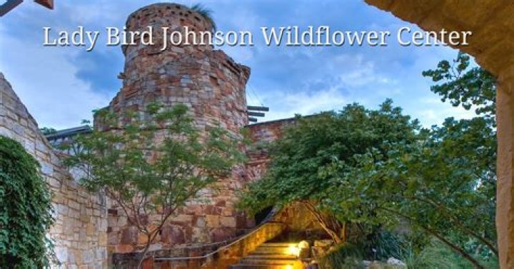 Lady Bird Johnson - Wildflower, Husband & First Lady