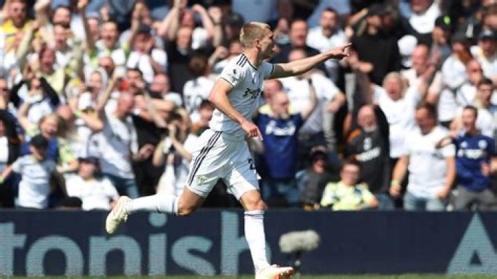 Leeds 2 Newcastle 2: Sam Allardyce takes vital point towards safety as Toon suffer blow to Champions League hopes