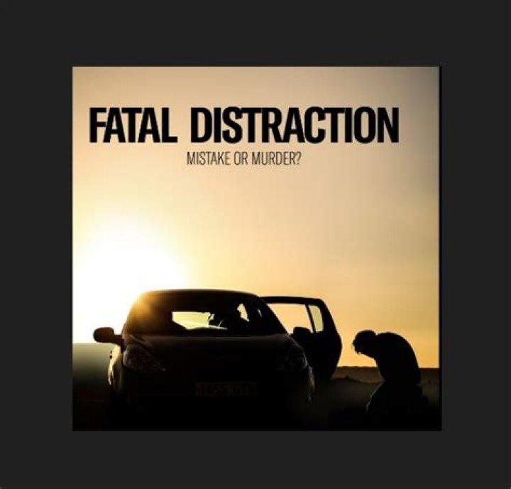 Linda Cook review: ‘Fatal Distraction’ focuses on child deaths in hot cars