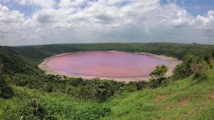 Lonar crater lake’s magnetic organisms probed in What on Earth?