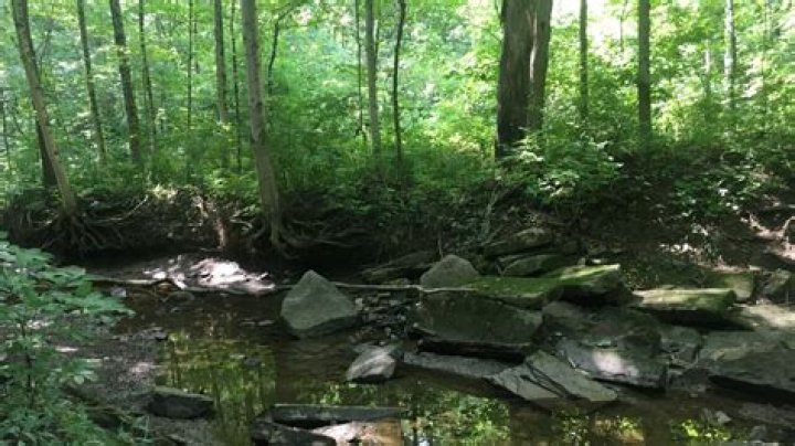 Louisa County Conservation | Hoover Nature Trail at Chinkapin Bluffs