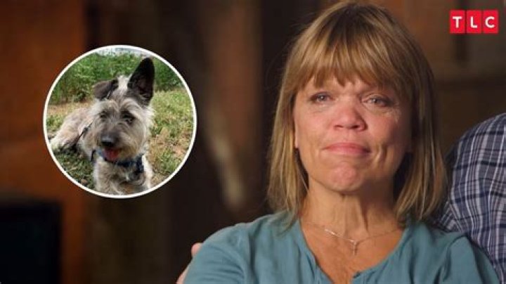 LPBW: Amy Roloff mourns the loss of her beloved rescue dog Felix, who died two days before her wedding