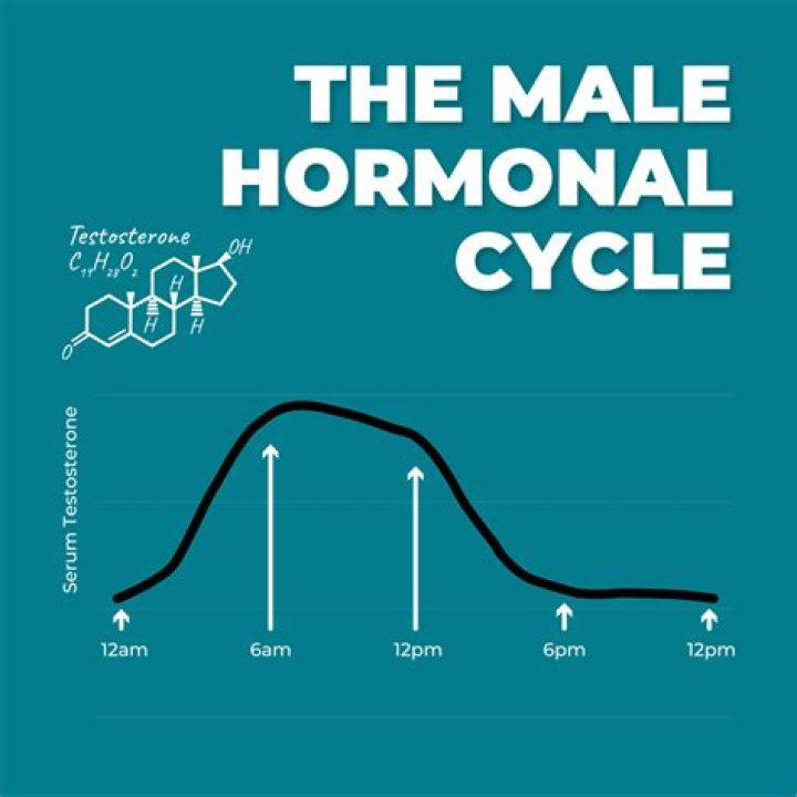 Male Hormonal Cycles - AskMen