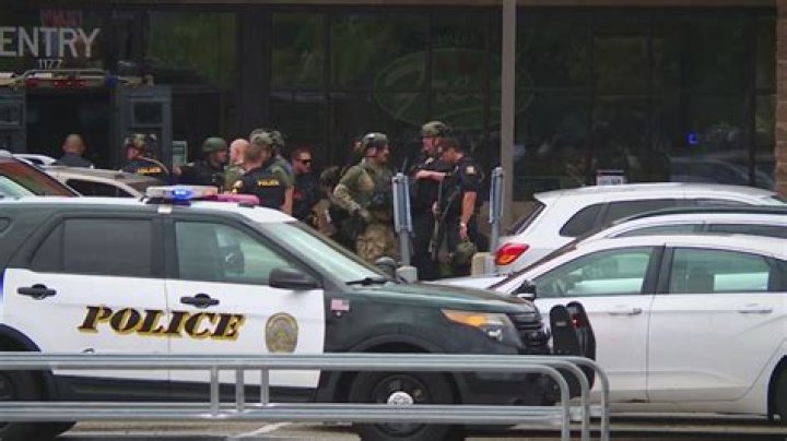 Manhunt underway after 'multiple' found dead in 2 homes in Illinois: police