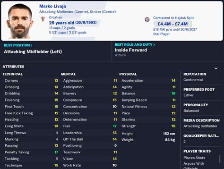 Marko Topic - Manager profile