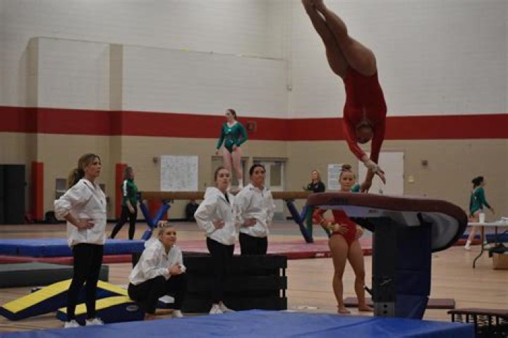 Matt James & Suni Lee Had A 'DWTS' Reunion At An Auburn Gymnastics Meet