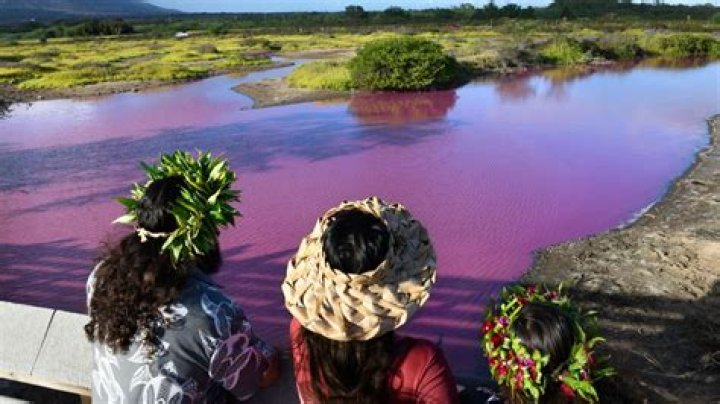 Maui’s pink pond may have a different cause, researchers say