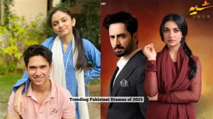 Mayri to Tere Bin: Top 5 recent Pakistani dramas to binge-watch