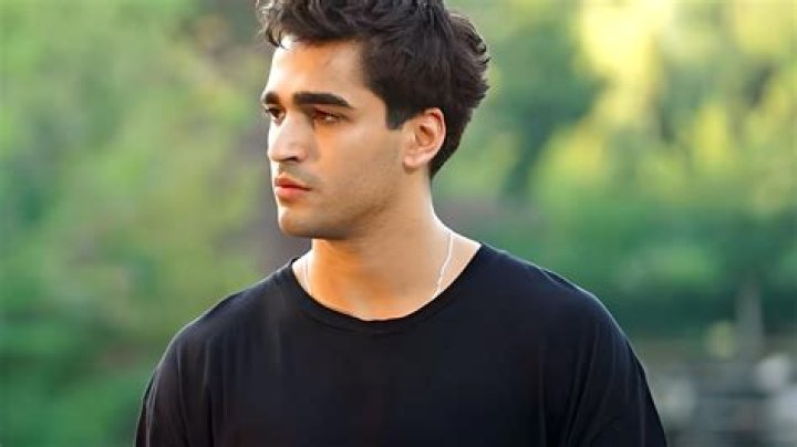 Mert Ramazan Demir (Actor) Wiki, Biography, Age, Girlfriends, Family, Facts and More