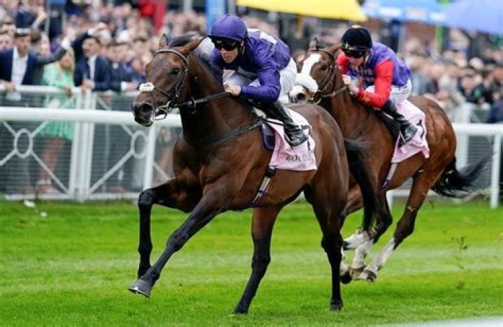 Michael Owen makes £36,000 gamble on star sprinter Flaming Rib winning blockbuster July Cup at Newmarket