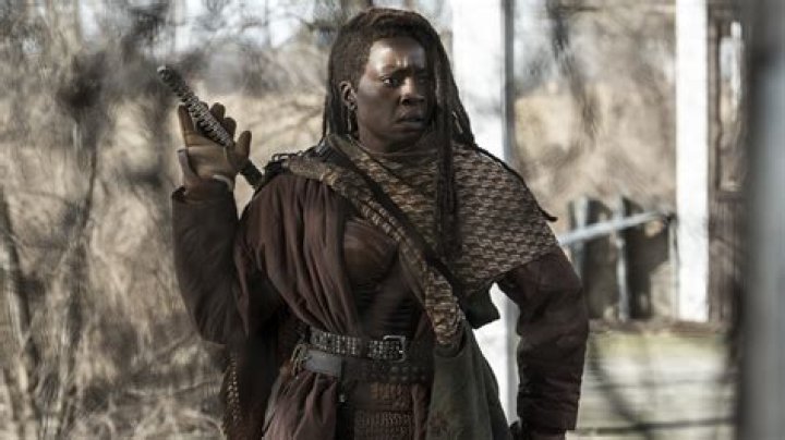 Michonne and King Ezekiel Romance Explained