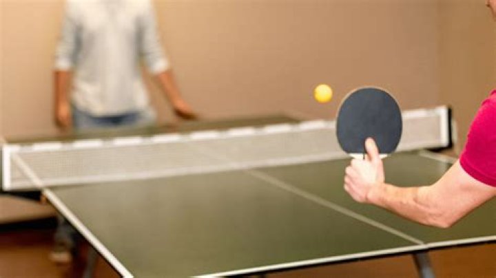 Milan & Milanka Played Table Tennis