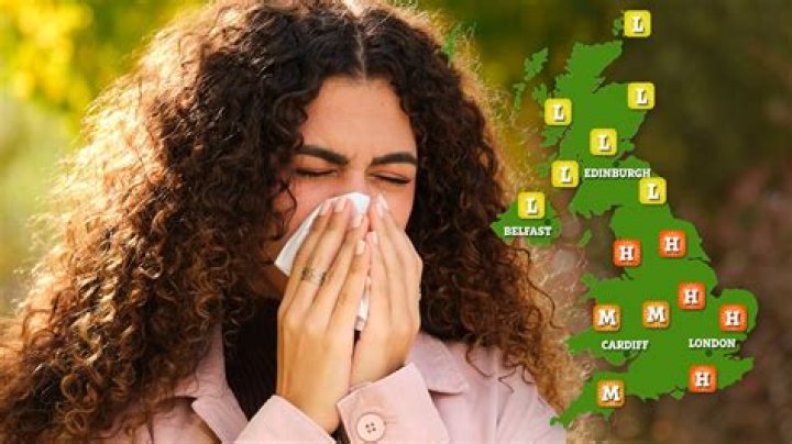 Millions of hay fever sufferers at risk of deadly asthma attacks this weekend as 'pollen bomb' hits UK