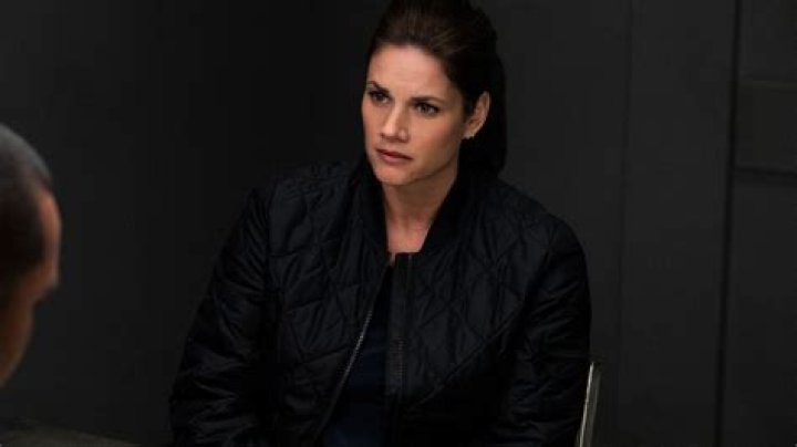 Missy Peregrym: The Journey Of A Talented Actress And Model