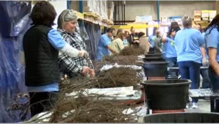 Modern Woodmen employees show love … for the environment