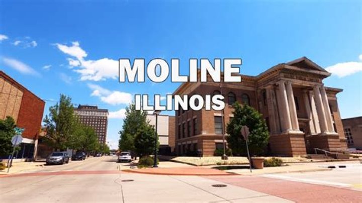 Moline rolls to a big home win 60-24