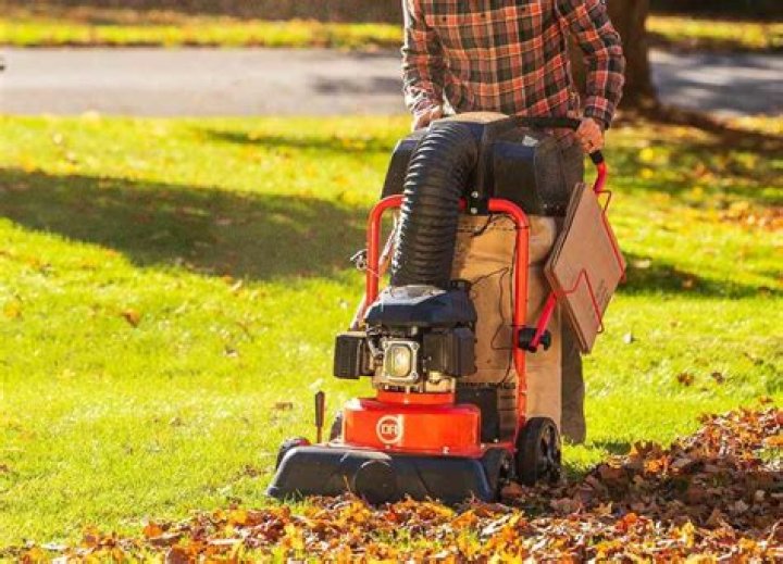 Moline starts leaf vacuuming soon