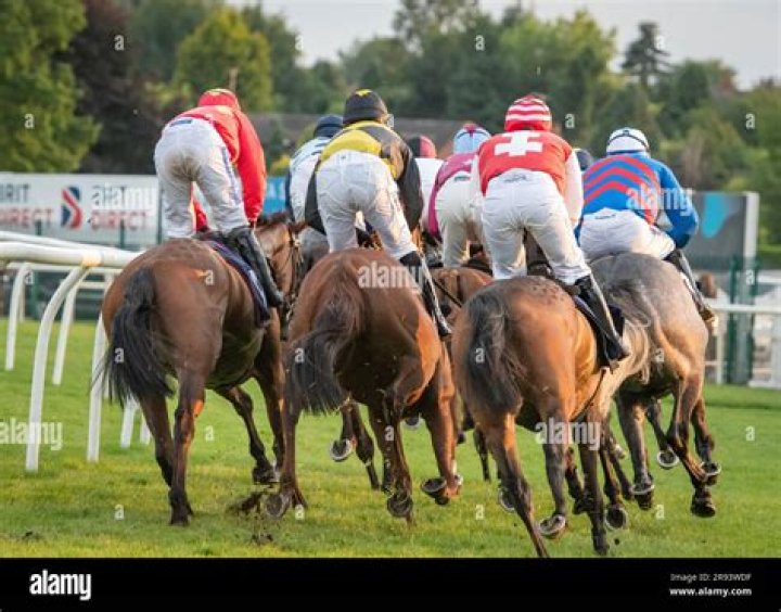 Monday's racing tips: The Wizard of Odds' stat attack for all today's racing at Ayr, Uttoxeter, Plumpton and Wolverhampton