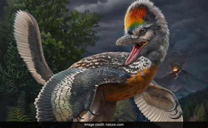 Monstrous 'Godzillus' fossil discovered in US