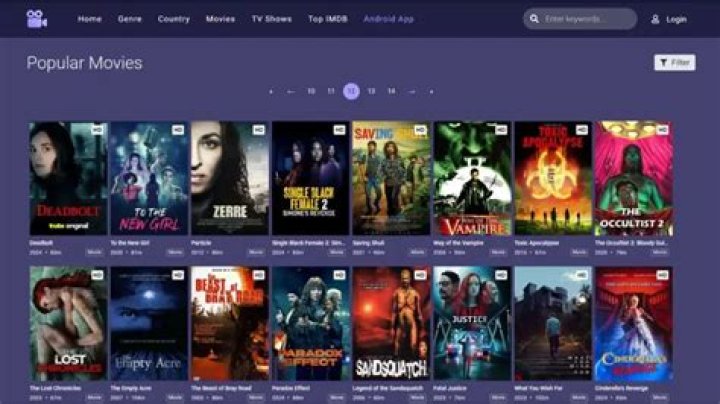 MoviesJoy Net: Your Ultimate Destination For Streaming Movies