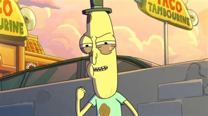Mr. Poopybutthole New Voice Actor Revealed