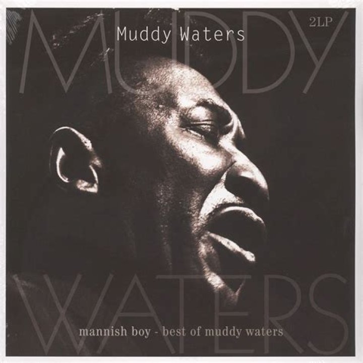 Muddy Waters - Songs, Rollin Stone & Mannish Boy