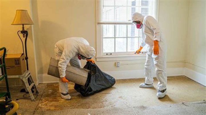 Mum's genius 49p hack removes fluff from carpets - and people are horrified by how dirty their floors are