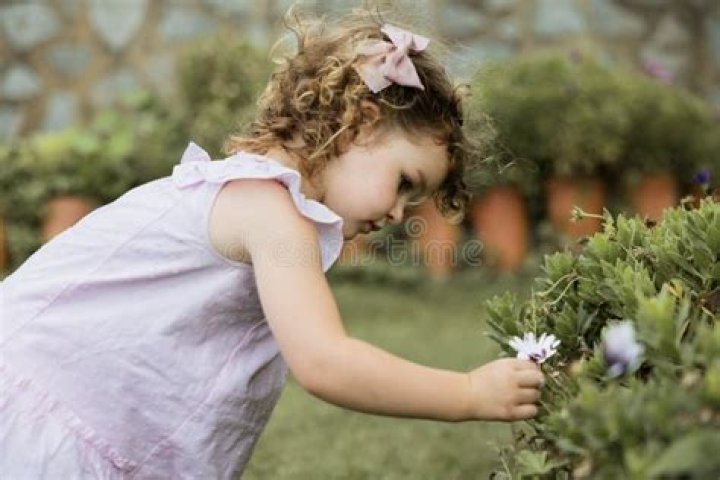 Mums warned they could be slapped with a £5k fine if their kids pick flowers on daily walks