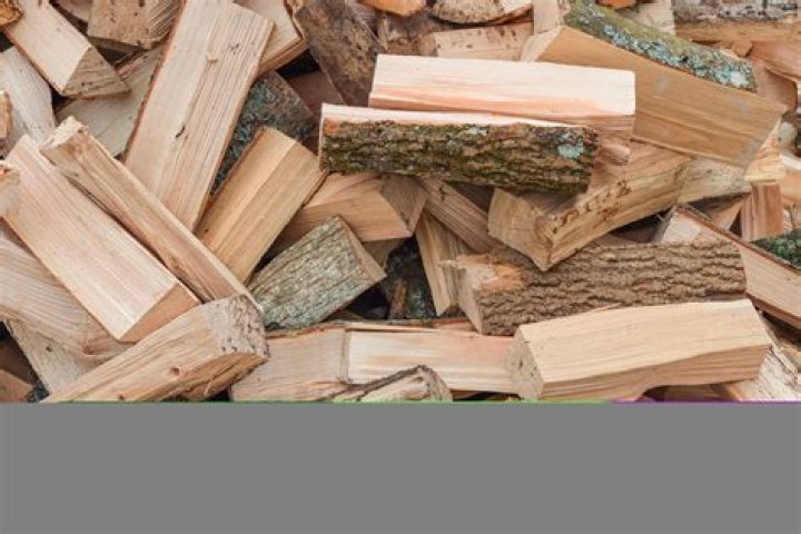 Muscatine has firewood available for residents after city-wide tree trimming
