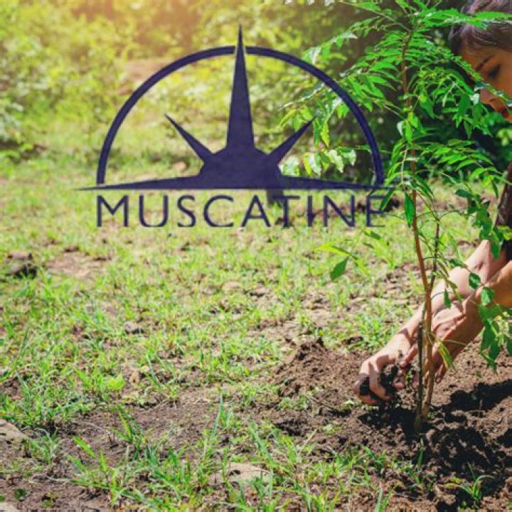 Muscatine utility invests in renewable energy