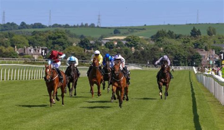 Musselburgh racecourse News | Latest Headlines & Updates