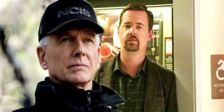 NCIS' Sean Murray Spills the Beans About His Co-Stars Habits On Set; Here's What He Had to Say