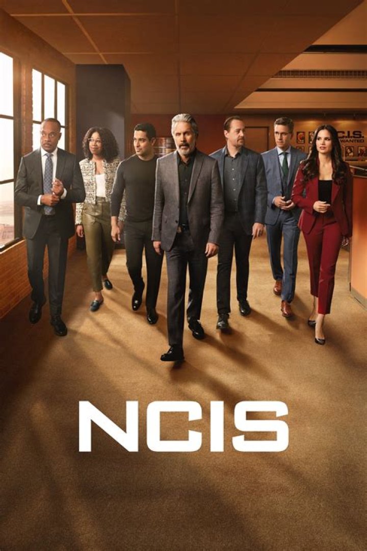NCIS: New Orleans season finale: Who plays NCIS Deputy Director Ezra Van Cleef?