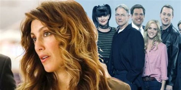 NCIS Star Jennifer Esposito's Brutally Bleak Thoughts On Acting