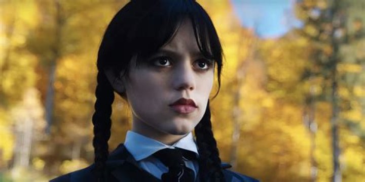 Netflix's Wednesday Addams Series Confirms An Addams Family Icon Is Joining The Cast