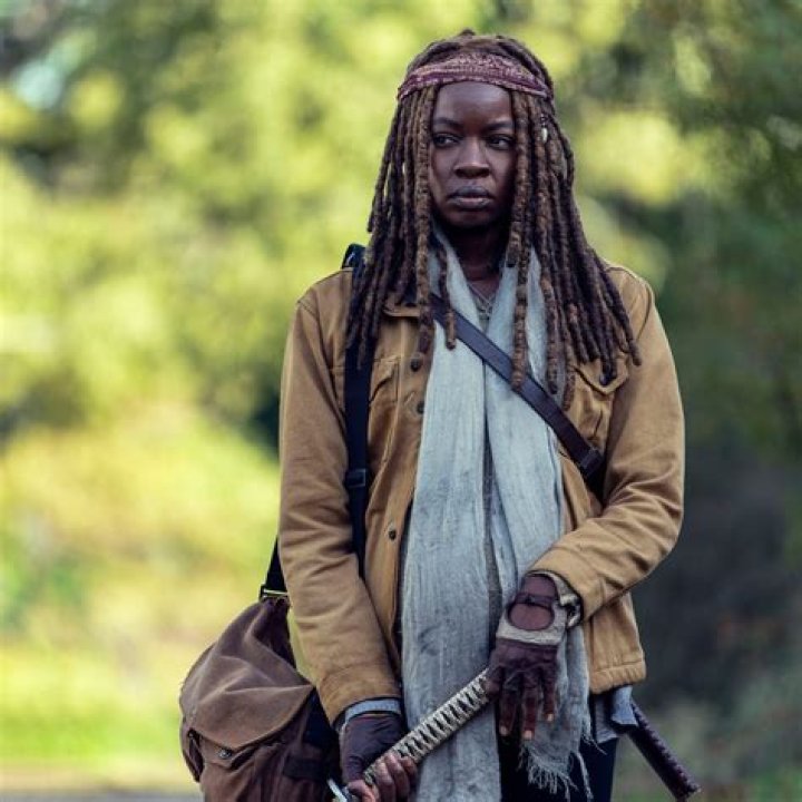 New Walking Dead Series Reveals What Happened to Michonne