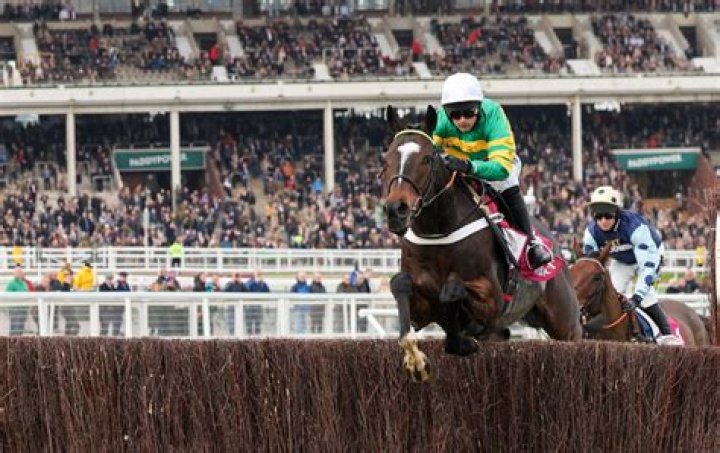 New Year's Day ITV Racing coverage: Schedule and times for Cheltenham and Musselburgh this Wednesday, 1st January