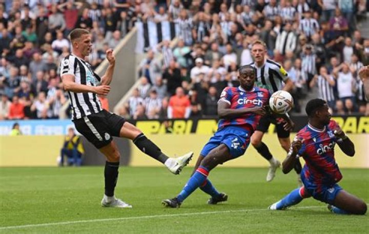 Newcastle have £30m Sven Botman transfer bid rejected by Lille and face battle with AC Milan for defender