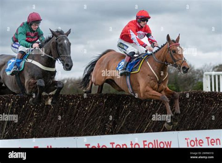 Nigel Twiston-Davies' Splash Of Ginge heads back to Cheltenham with Grand National glory next year the target
