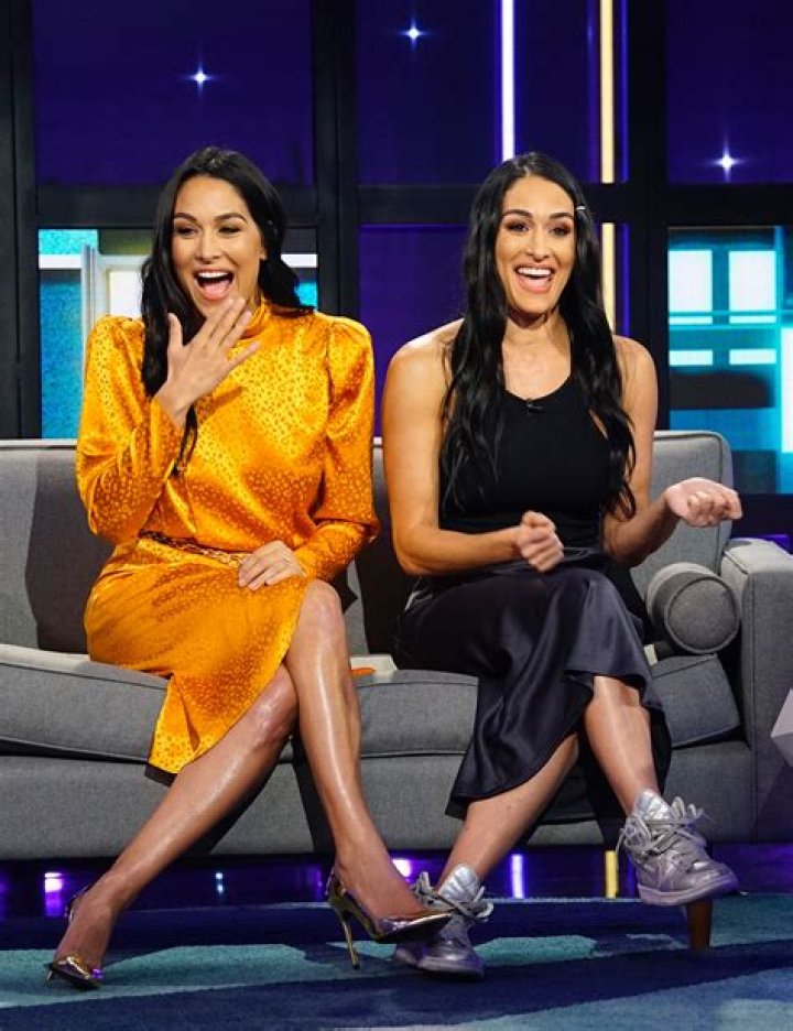 Nikki Bella and Brie Bella Share NSFW Pregnancy Photoshoot
