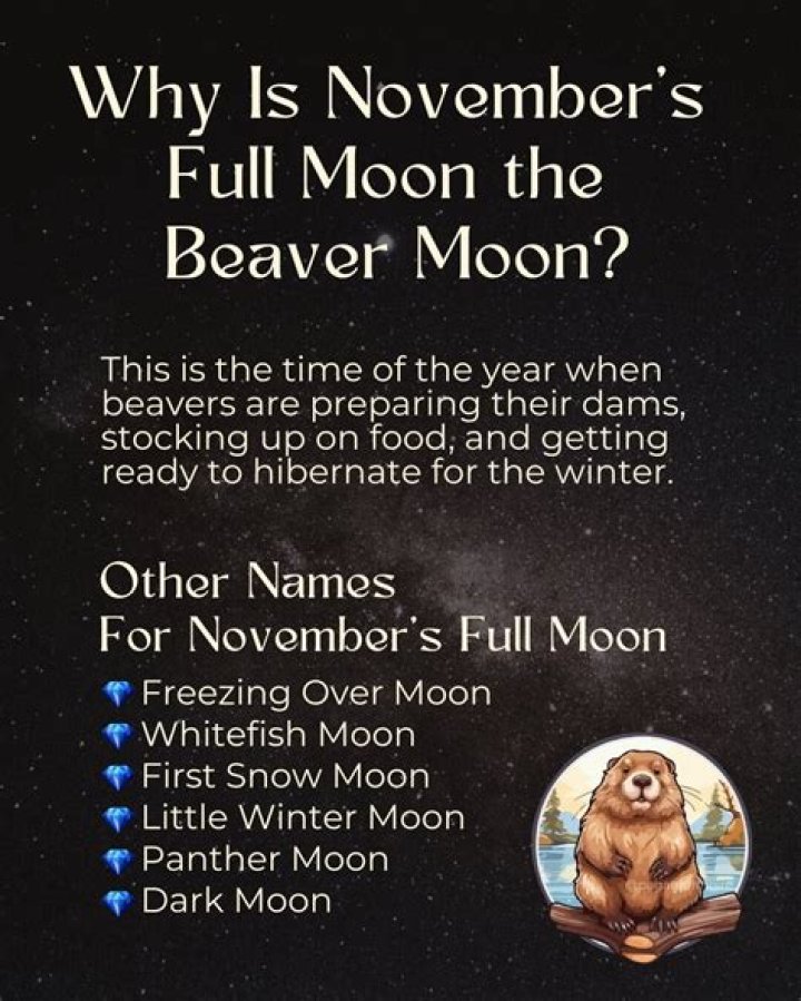 November 2022 Full Beaver Moon's Spiritual Meaning
