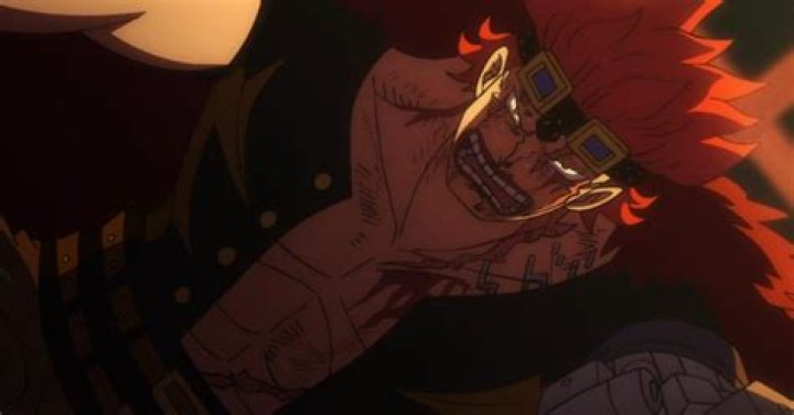 One Piece Anime Hit With Sudden Delay