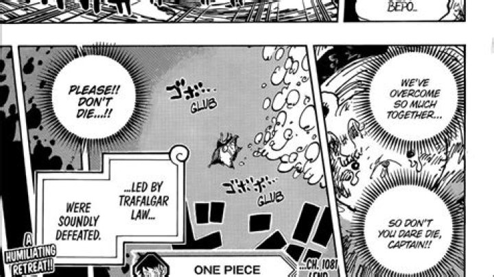 One Piece Chapter 1081 LEAKED! Read Online, Manga Spoilers, Reddit Leaks, Release Date, Raw Scans and More
