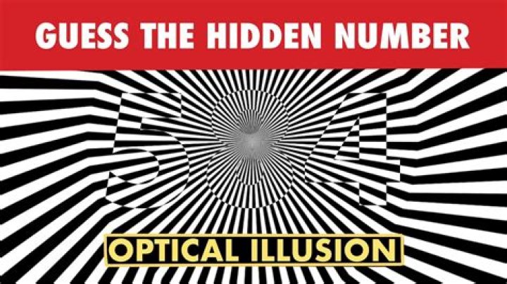 Optical Illusion Brain Test: If you have Eagle Eyes Find the Number 61 in 15 Secs