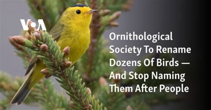 Ornithological society to rename dozens of birds — and stop naming them after people