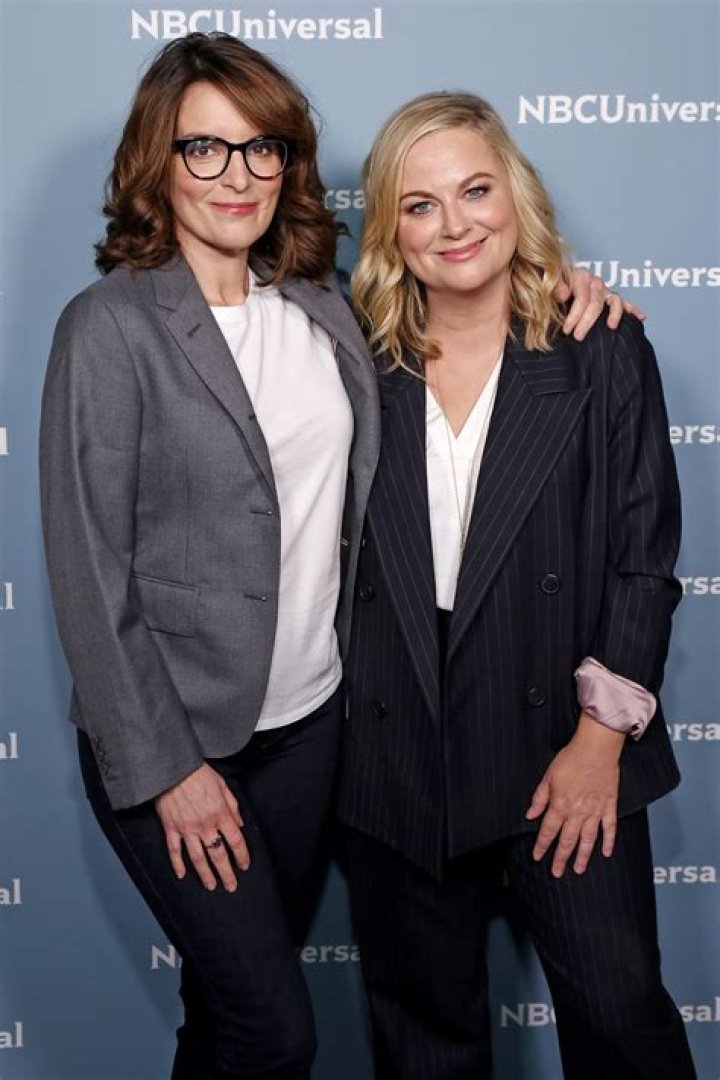 Our Favorite Amy Poehler Movies and TV Shows, Ranked!