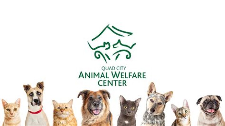 Paw Punch Ale Launch party to help support Quad City Animal Welfare Center