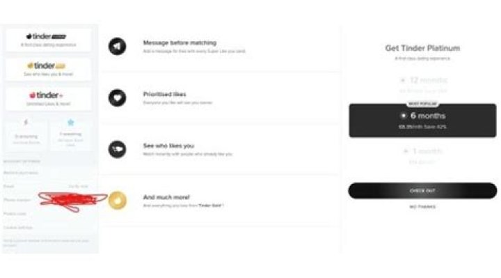 Plans for New Tinder Platinum Tier Seemingly Uncovered by Reddit User