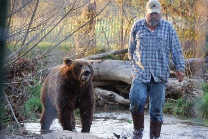 Project Grizzly: Can one man send two grizzlies back into the wild?
