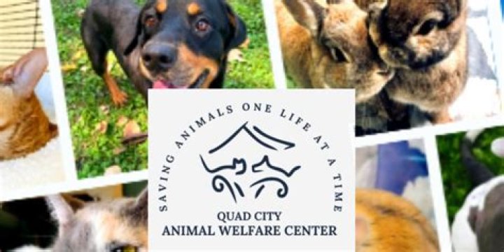 Quad City Animal Welfare Center offers a doggone great deal on microchipping!
